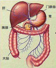 小儿直肠给药视频,视频教学解析